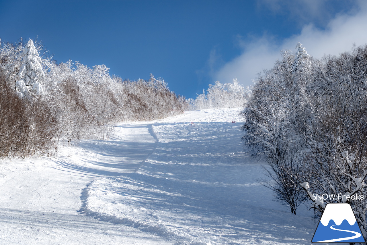 カムイスキーリンクス｜この上ないほど澄んだ青空と極上のパウダースノー。やっぱり『カムイ』は外れない！